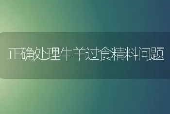 正确处理牛羊过食精料问题