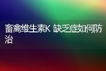 畜禽维生素K缺乏症如何防治