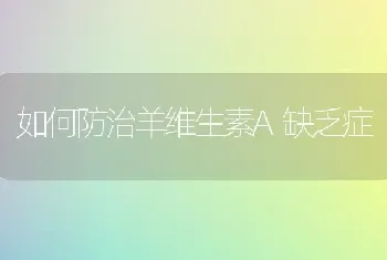 如何防治羊维生素A缺乏症