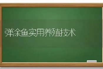 弹涂鱼实用养殖技术