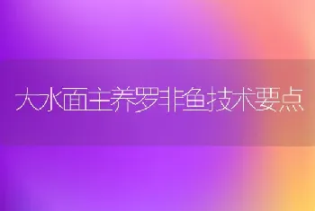 大水面主养罗非鱼技术要点