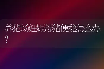 獭兔仔兔的科学管理