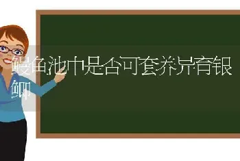 鳗鱼池中是否可套养异育银鲫