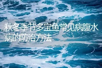 秋冬季节多宝鱼常见病腹水病的防治方法