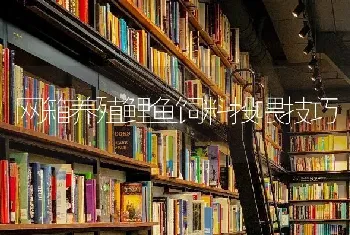 羊养殖群越冬措施