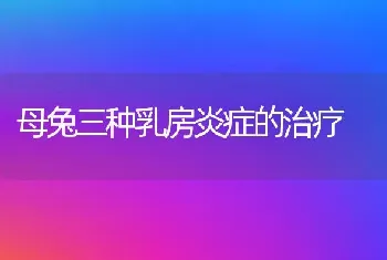 母兔三种乳房炎症的治疗