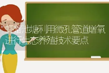 虾蟹池塘利用微孔管道增氧进行生态养殖技术要点