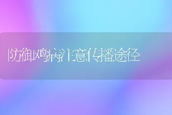 防御鸡病注意传播途径