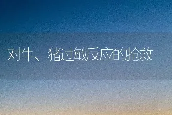 对牛、猪过敏反应的抢救