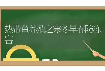 热带鱼养殖之寒冬早春防冻害