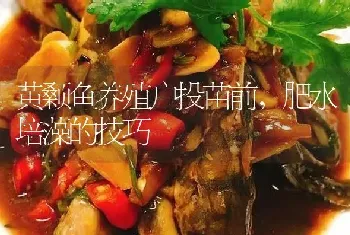 黄颡鱼养殖户投苗前,肥水培藻的技巧