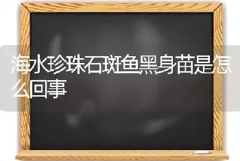 海水珍珠石斑鱼黑身苗是怎么回事