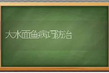 大水面鱼病巧防治