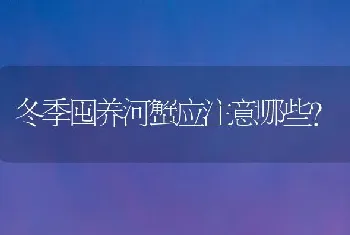 冬季囤养河蟹应注意哪些?