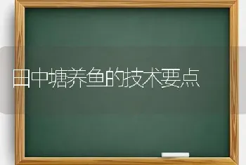 田中塘养鱼的技术要点