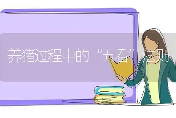 养猪过程中的“五看”法则