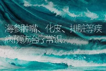 海参肿嘴、化皮、排脏等疾病预防治疗常识