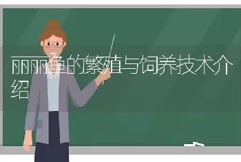 丽丽鱼的繁殖与饲养技术介绍