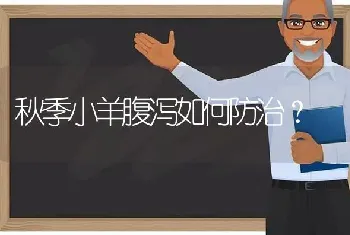 秋季小羊腹泻如何防治?