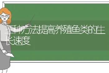 三种方法提高养殖鱼类的生长速度