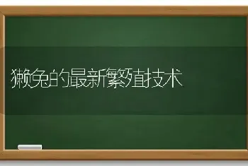 獭兔的最新繁殖技术