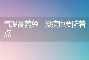 气温高养兔 没病也要防着点