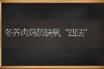 冬养肉鸡防缺氧“四法”