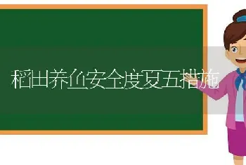 稻田养鱼安全度夏五措施