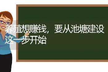 养殖想赚钱,要从池塘建设这一步开始