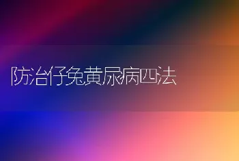 防治仔兔黄尿病四法