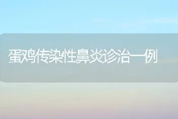 蛋鸡传染性鼻炎诊治一例