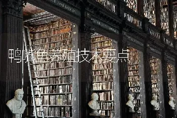 鸭嘴鱼养殖技术要点