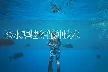 淡水鲳越冬保种技术