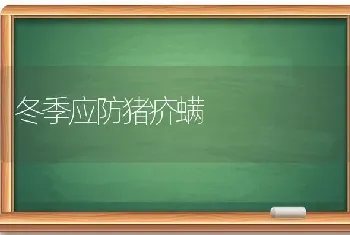 冬季应防猪疥螨