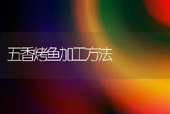 五香烤鱼加工方法