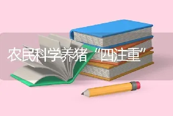 农民科学养猪“四注重”