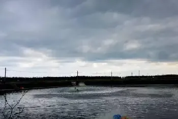 天气突变,水产养殖户应对寒潮阴雨来袭的三招