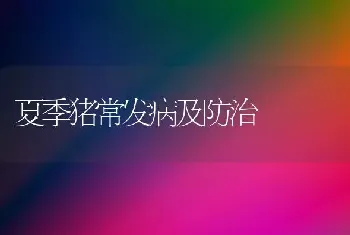 夏季猪常发病及防治