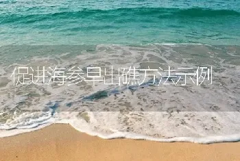 促进海参早出礁方法示例