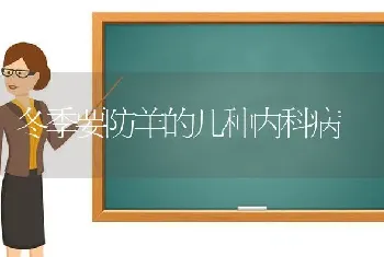 冬季要防羊的几种内科病