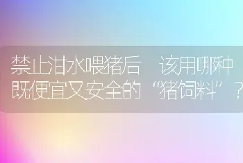 春季强化培育亲鱼的关键措施