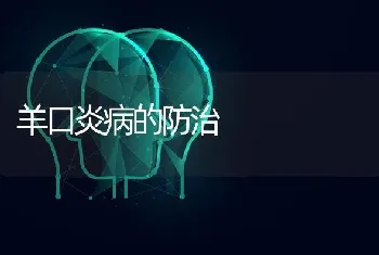 羊口炎病的防治