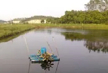 妙用活菌养水护水调水 对虾养殖户遇红黑水色不再愁