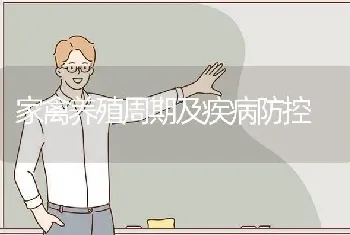 家禽养殖周期及疾病防控