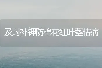 柳树叶防治鱼肠炎、烂腮、赤皮病