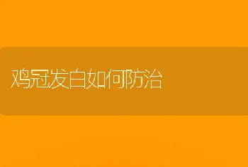 鸡冠发白如何防治