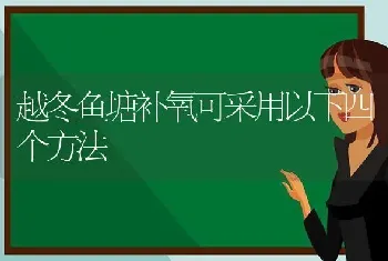 越冬鱼塘补氧可采用以下四个方法