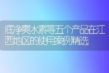 底净爽水素等五个产品在江西地区的使用案例精选