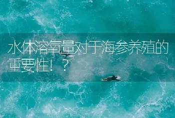 水体溶氧量对于海参养殖的重要性！?