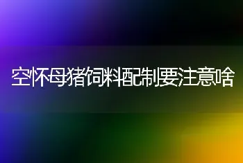 空怀母猪饲料配制要注意啥